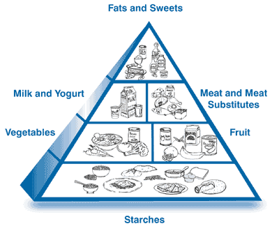Food Pyramid