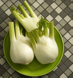 Learn About Fennel