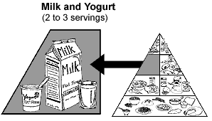 Milk and Yogurt, 2 to 3 servings
