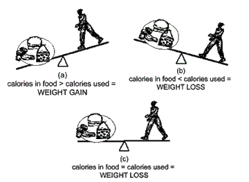 Image illustrating the relationship between  calories and weight.