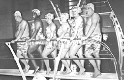 Photo of a group of swimmers posing on a diving board