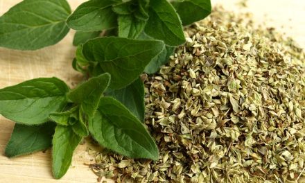 Culinary Herbs – Cleaning, Drying & Preparing