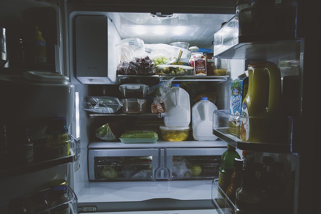 Refrigerator Disaster? Learn How to Clean Out Your Refrigerator.