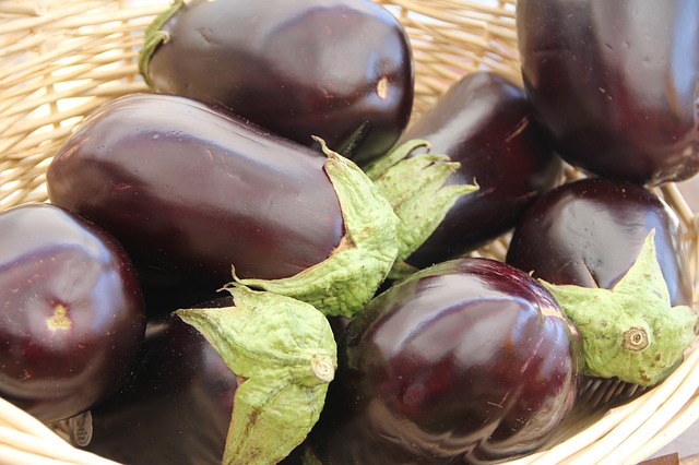 The Incredible, Edible Eggplant