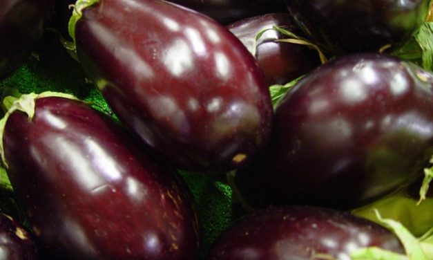 Eggplant: Improving the Odds for a Good One