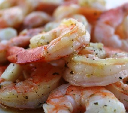 All About Shrimp