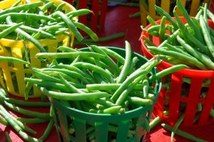 Green Beans - Summer Veggies fresh from the Farm