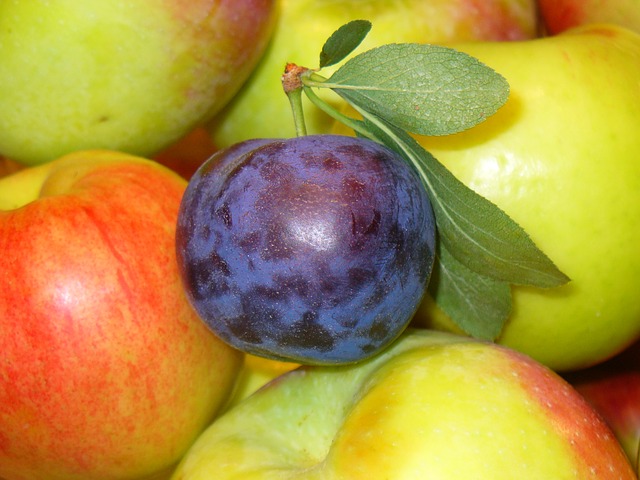 Cinnamon-Apple-Prune Jelly Recipe Photo - Diabetic Gourmet Magazine Recipes