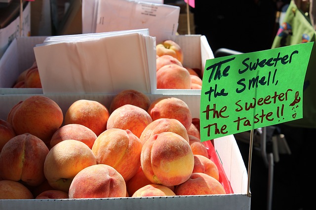 Country Peach Tart Recipe Photo - Diabetic Gourmet Magazine Recipes