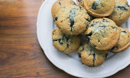 Sugar Free Blueberry Muffins