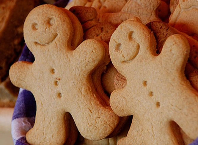 Sugarfree Gingerbread Men Cookie Recipe Diabetic Gourmet Magazine