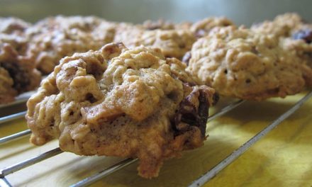 Sugar-Free Oatmeal Raisin Cookies