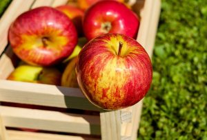 Fresh Apples for Fall Recipes