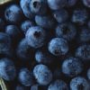 The Hidden Charms Of The Blueberry