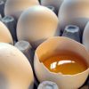 Eggs for Easter Brunch