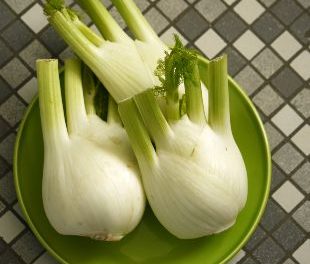 Learn About Fennel