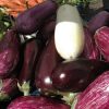 Learn About Eggplant
