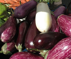 Learn About Eggplant