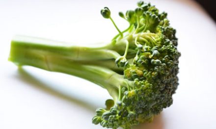 Raw vs. Cooked Broccoli: Is Raw Broccoli More Nutritious?