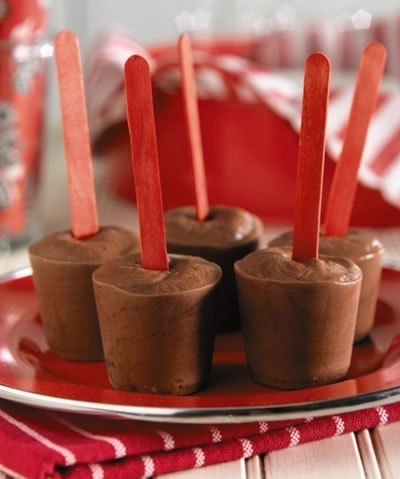 Chocolate Yogurt Pops Recipe Photo - Diabetic Gourmet Magazine Recipes