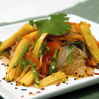 Skinny Noodles Salad with Shirataki Noodles Recipe Photo - Diabetic Gourmet Magazine Recipes