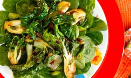 Spinach Salad with Seared Bok Choy, Ginger and Cilantro
