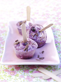 Wild Blueberry Ice Cream Pops Recipe Photo - Diabetic Gourmet Magazine Recipes