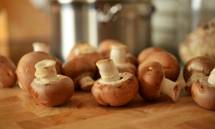 Making the Most of Mushrooms