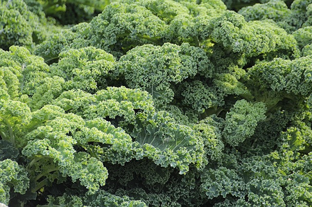 Tricks for Making Kale a Treat
