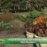 Fall Garden Tips