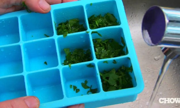 Freezing Fresh Herbs