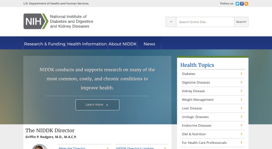 Government Health and Diabetes Websites