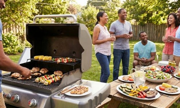 Celebrate National Barbecue Day (May 16) – The Diabetic Foodie Edition