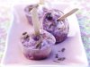 Wild Blueberry Ice Cream Pops recipe photo from the Diabetic Gourmet Magazine diabetic recipes archive.
